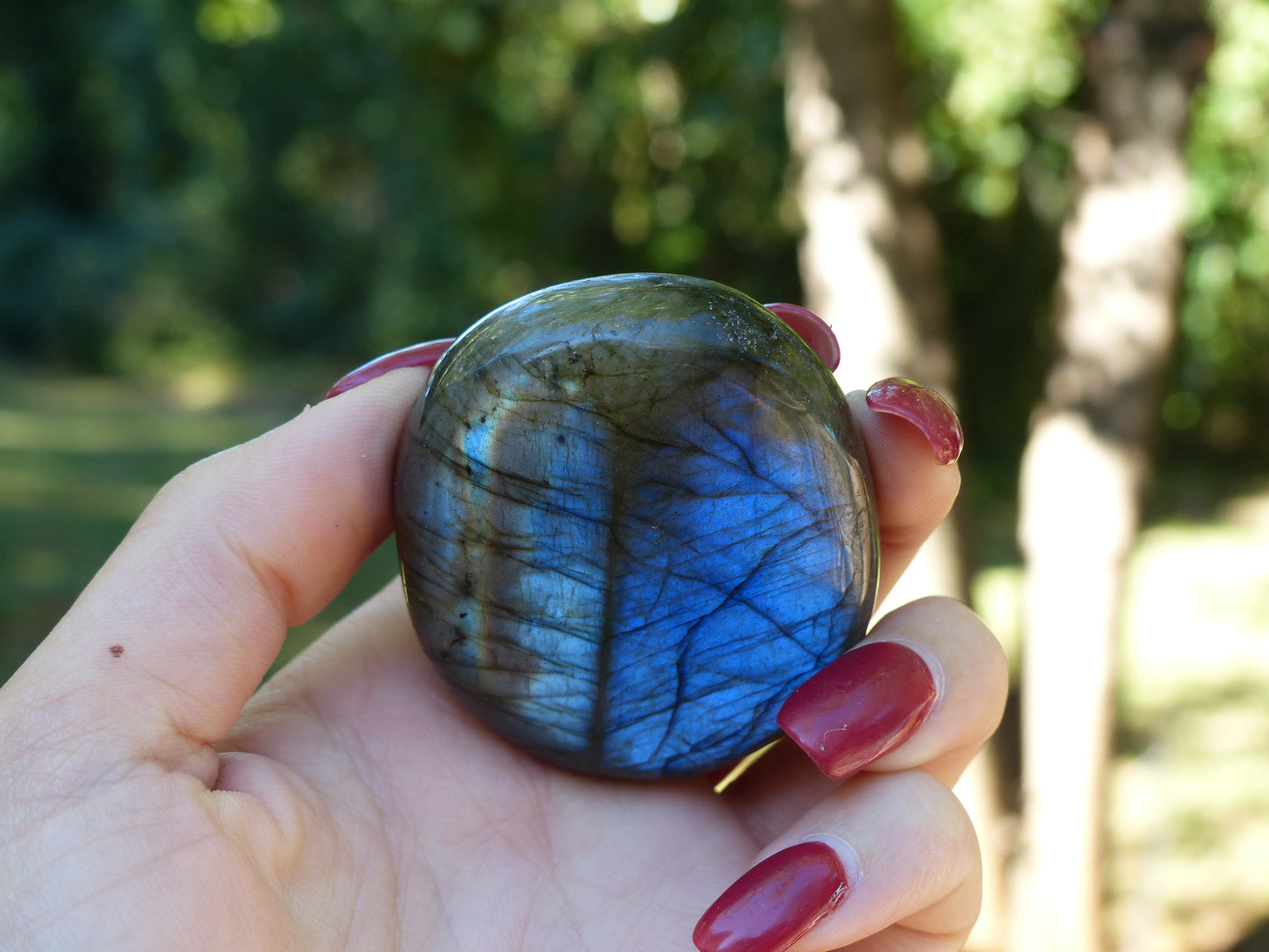 Labradorite Palm Stone (#40)