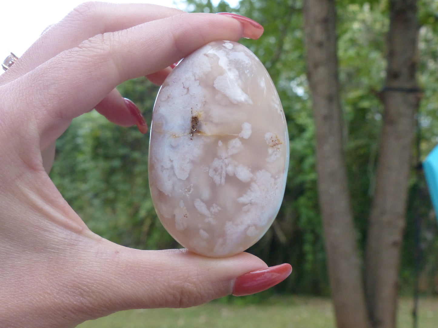 Flower Agate Palm Stone (#13)