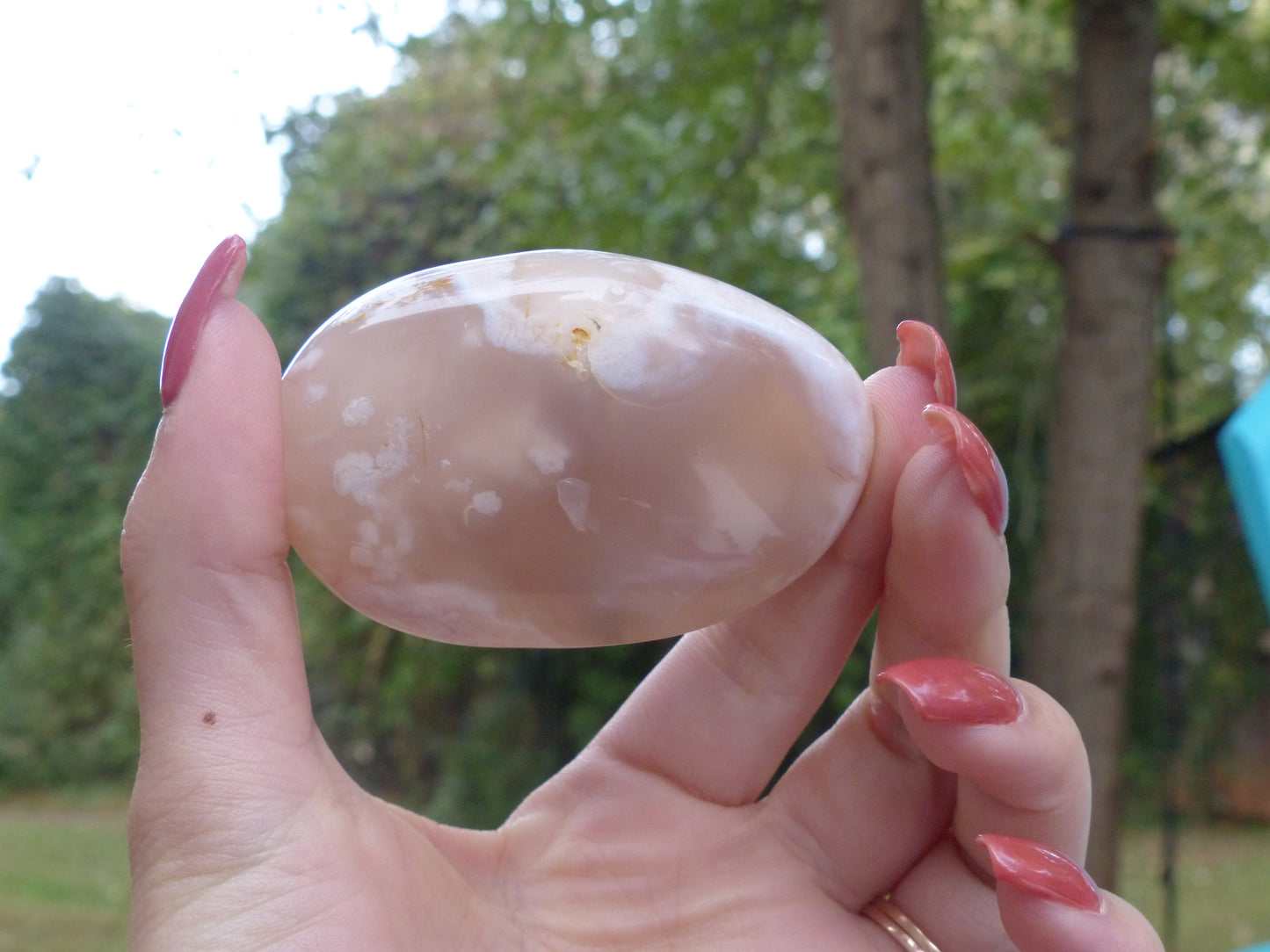 Flower Agate Palm Stone (#13)