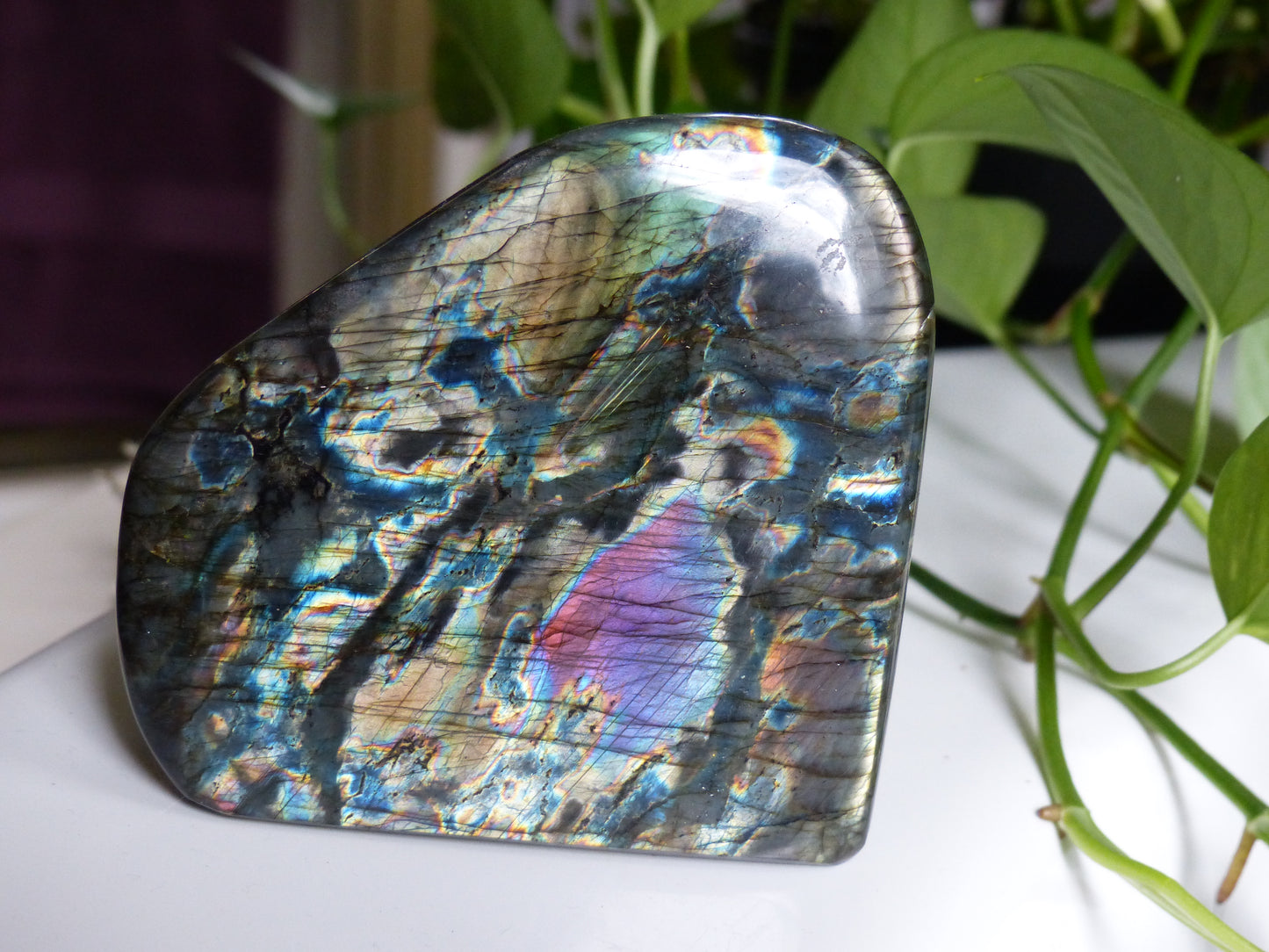 Labradorite Free Form (#E4) - Simply Affinity