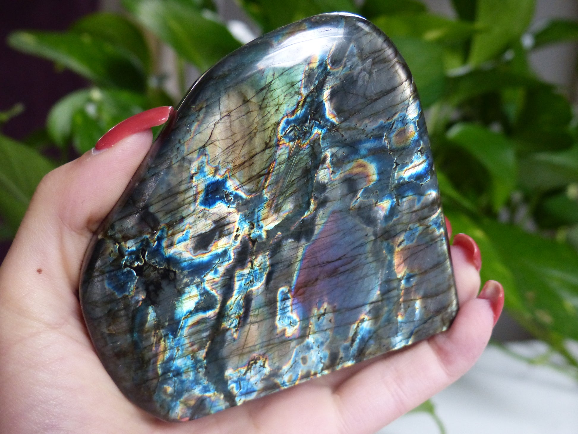 Labradorite Free Form (#E4) - Simply Affinity