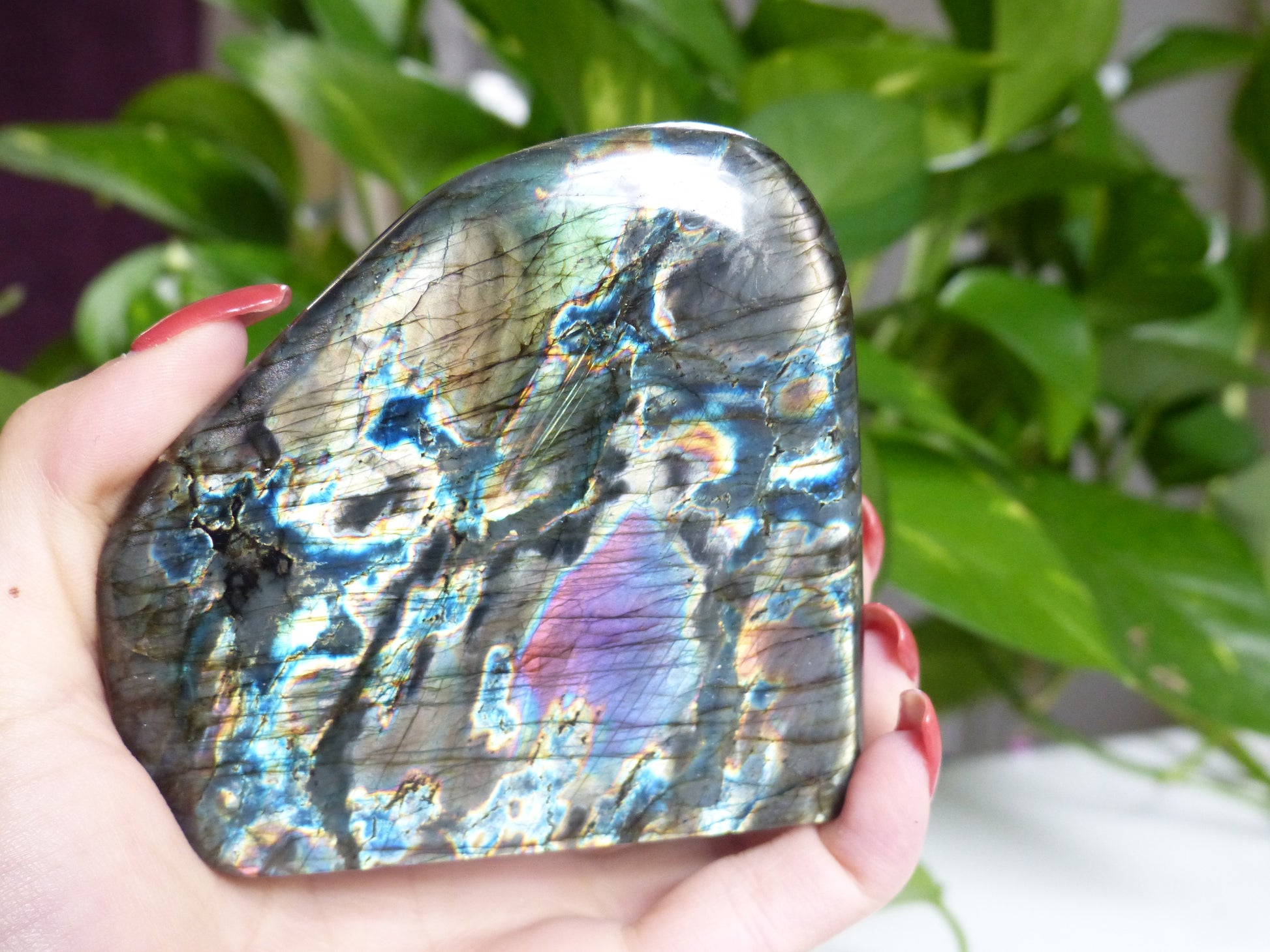 Labradorite Free Form (#E4) - Simply Affinity