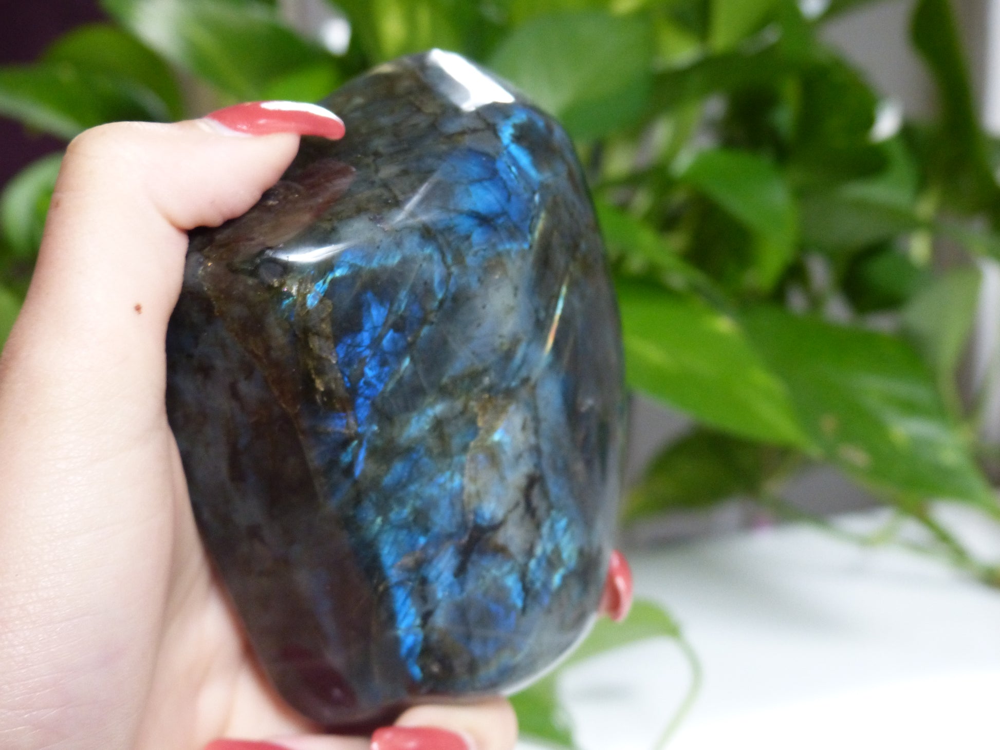 Labradorite Free Form (#E4) - Simply Affinity