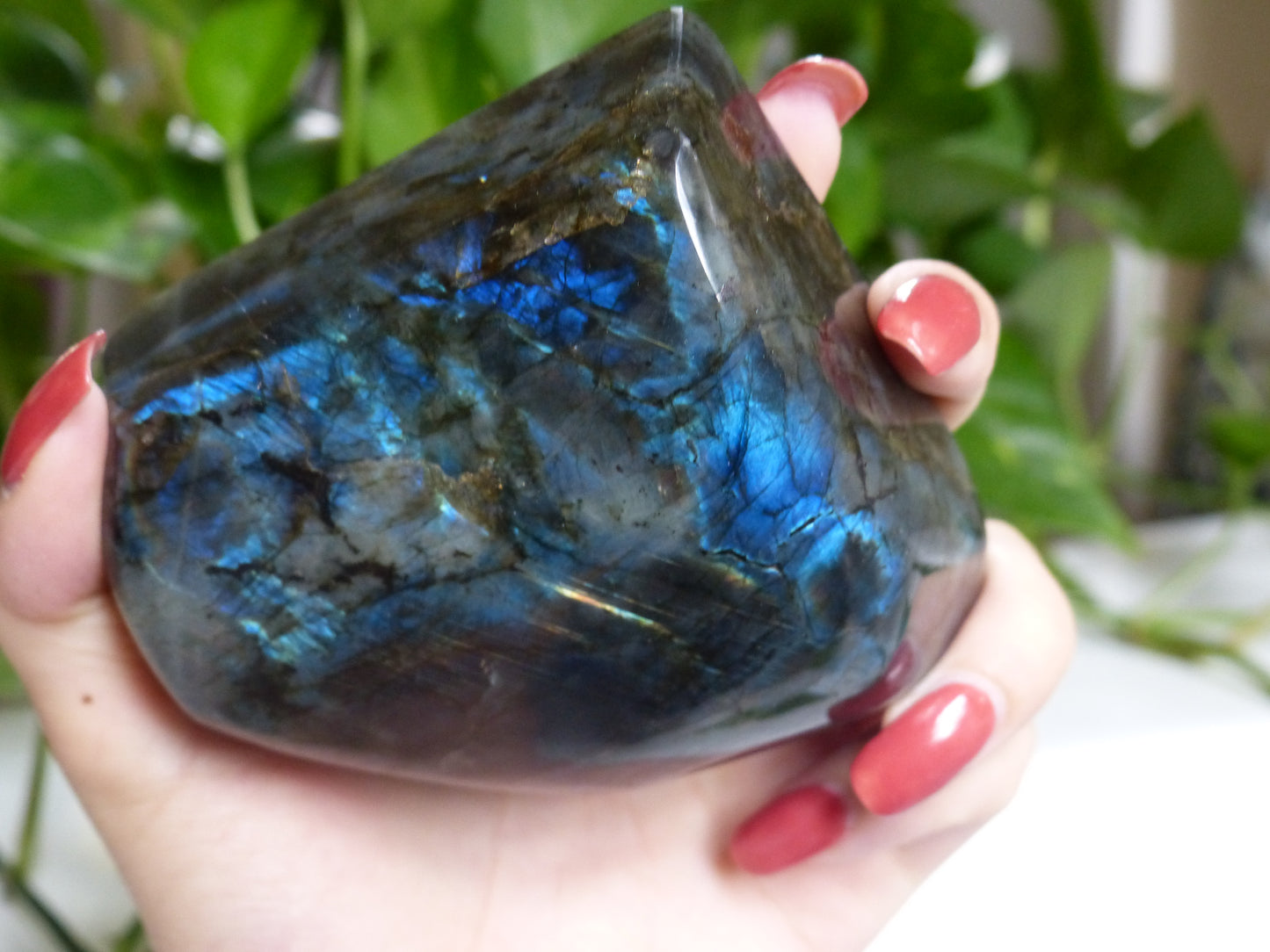 Labradorite Free Form (#E4) - Simply Affinity