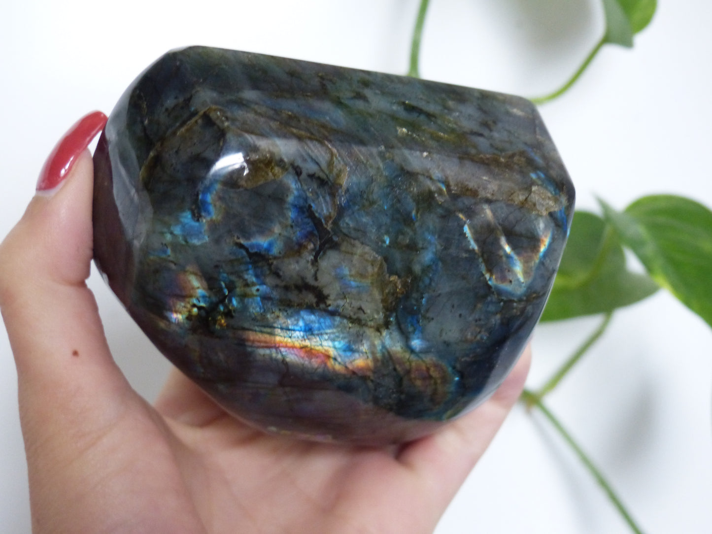 Labradorite Free Form (#E4) - Simply Affinity