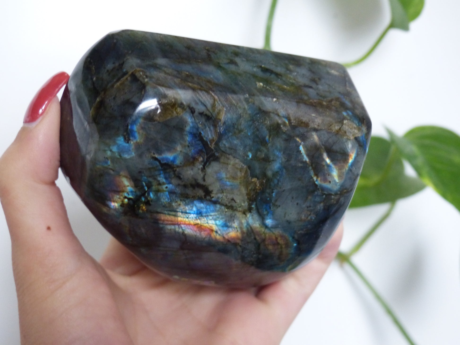 Labradorite Free Form (#E4) - Simply Affinity