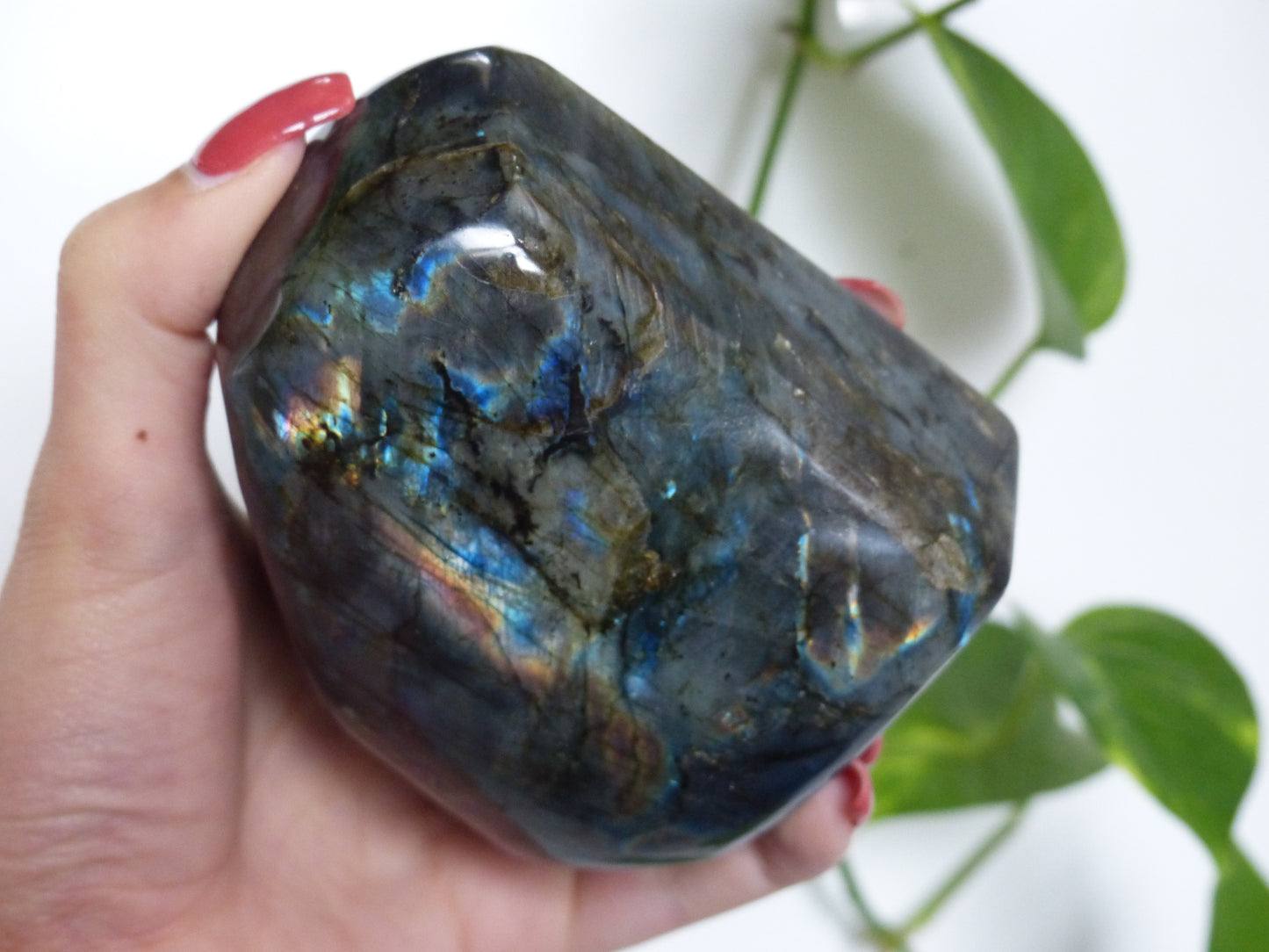 Labradorite Free Form (#E4) - Simply Affinity