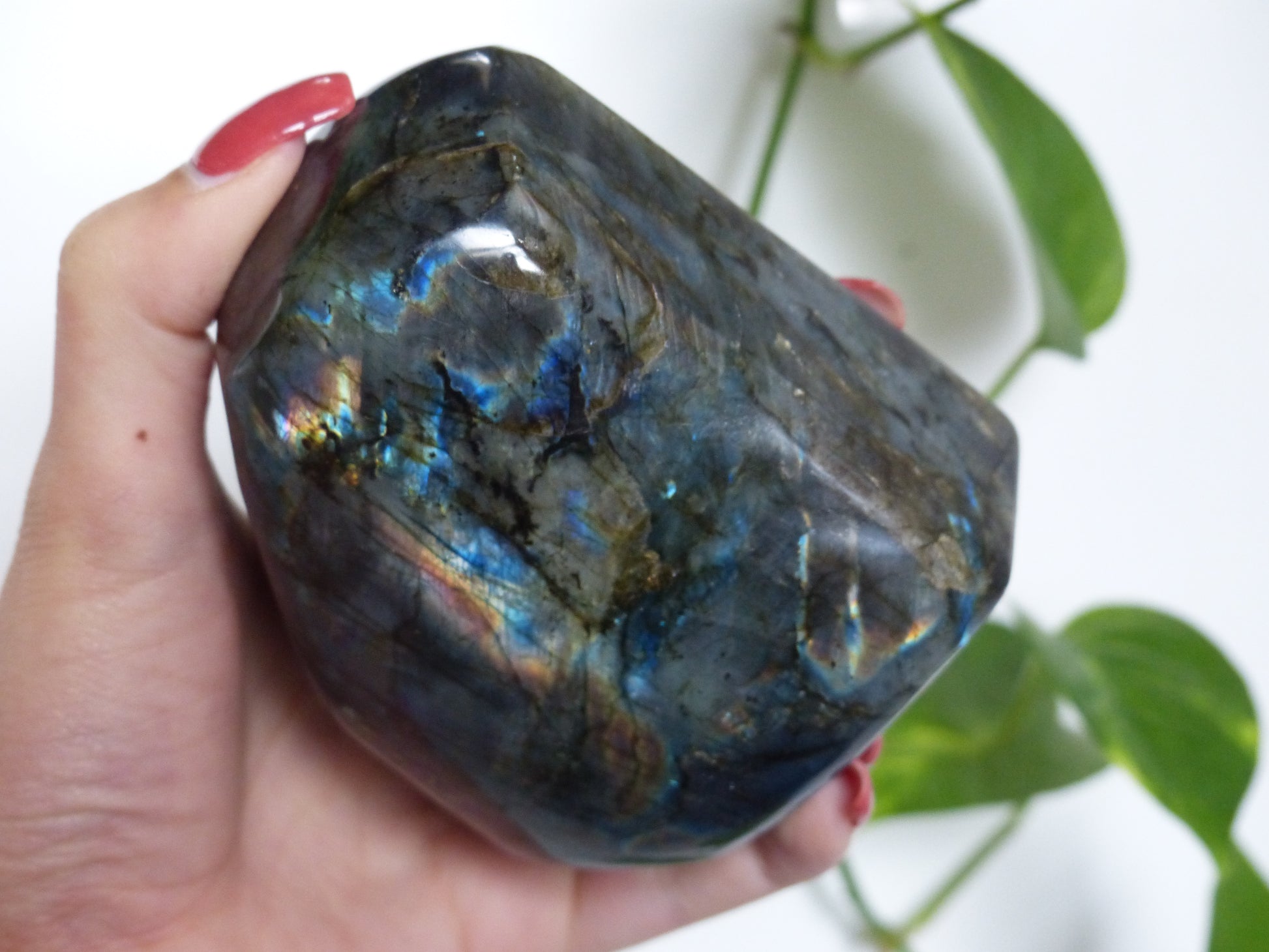 Labradorite Free Form (#E4) - Simply Affinity