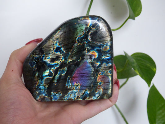 Labradorite Free Form (#E4) - Simply Affinity