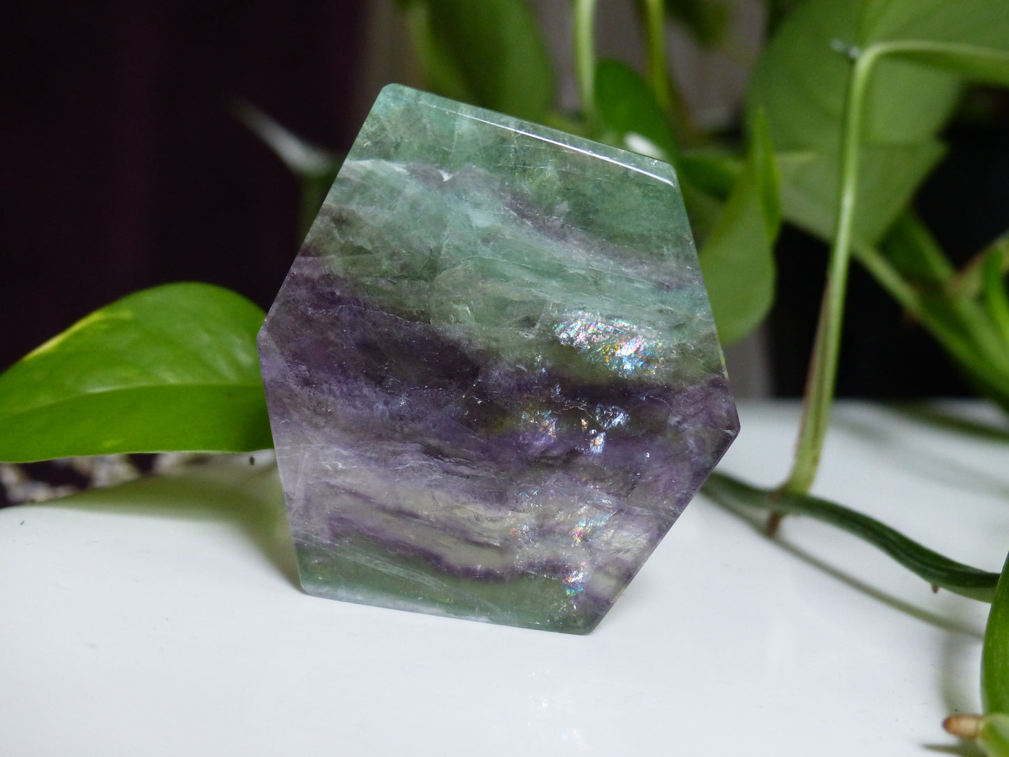 Fluorite Slab, Rainbow Fluorite Slab (#12)