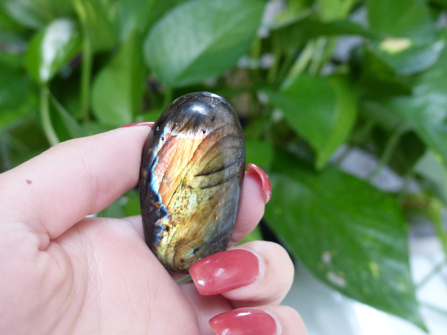 Labradorite Palm Stone (#44)