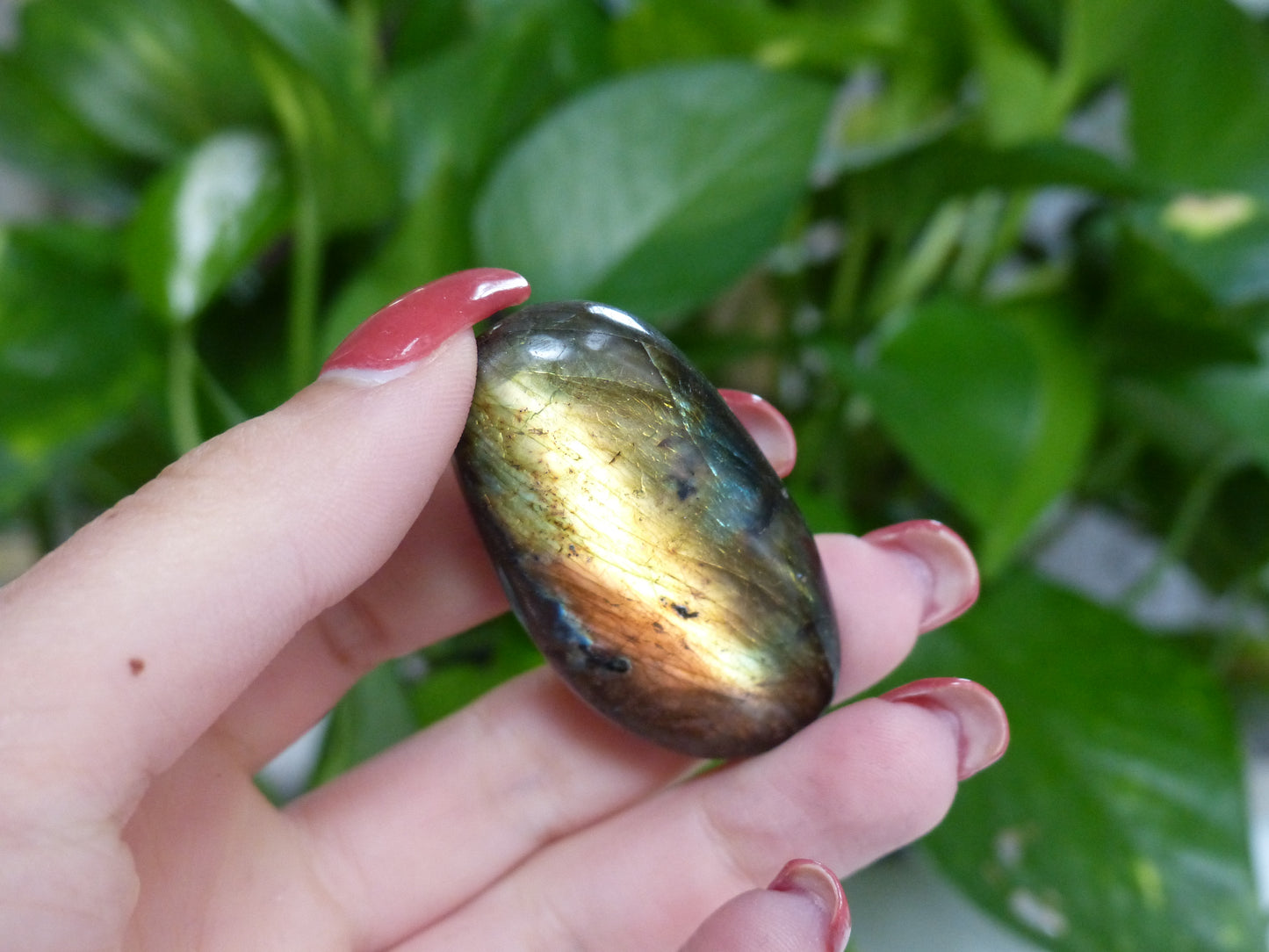 Labradorite Palm Stone (#44)