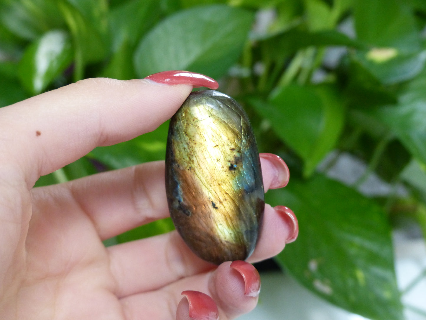 Labradorite Palm Stone (#44)