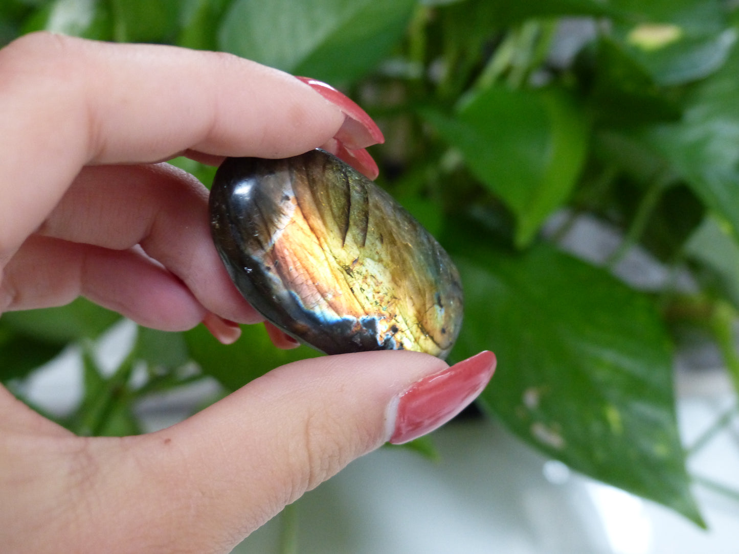 Labradorite Palm Stone (#44)