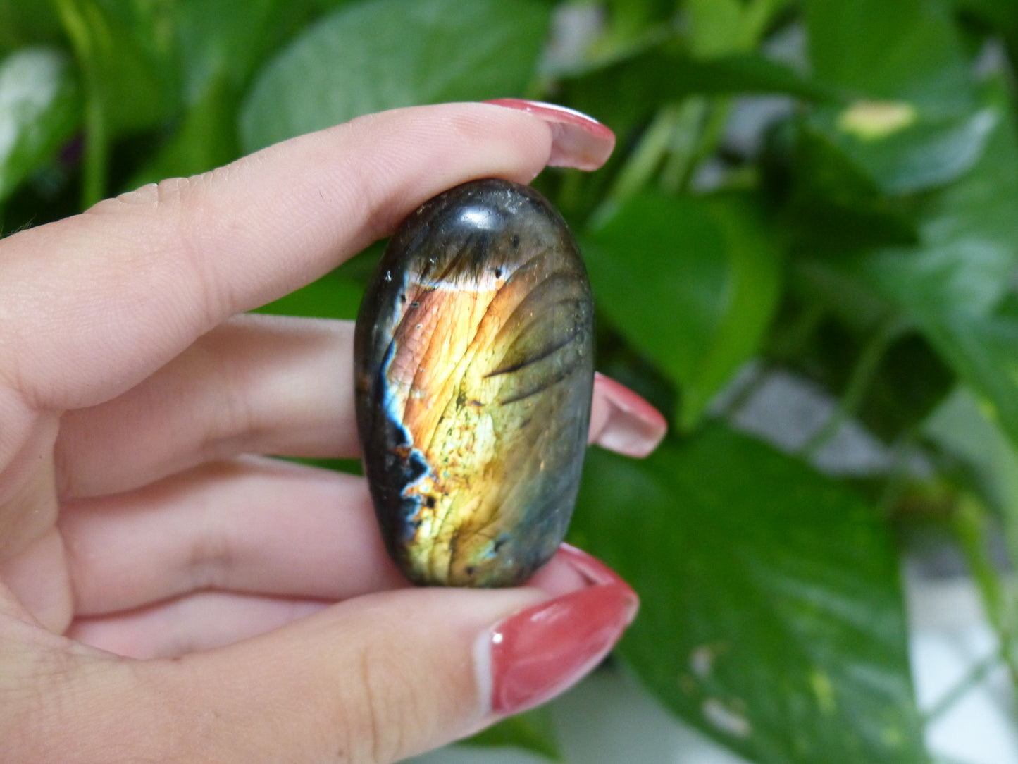 Labradorite Palm Stone (#44)