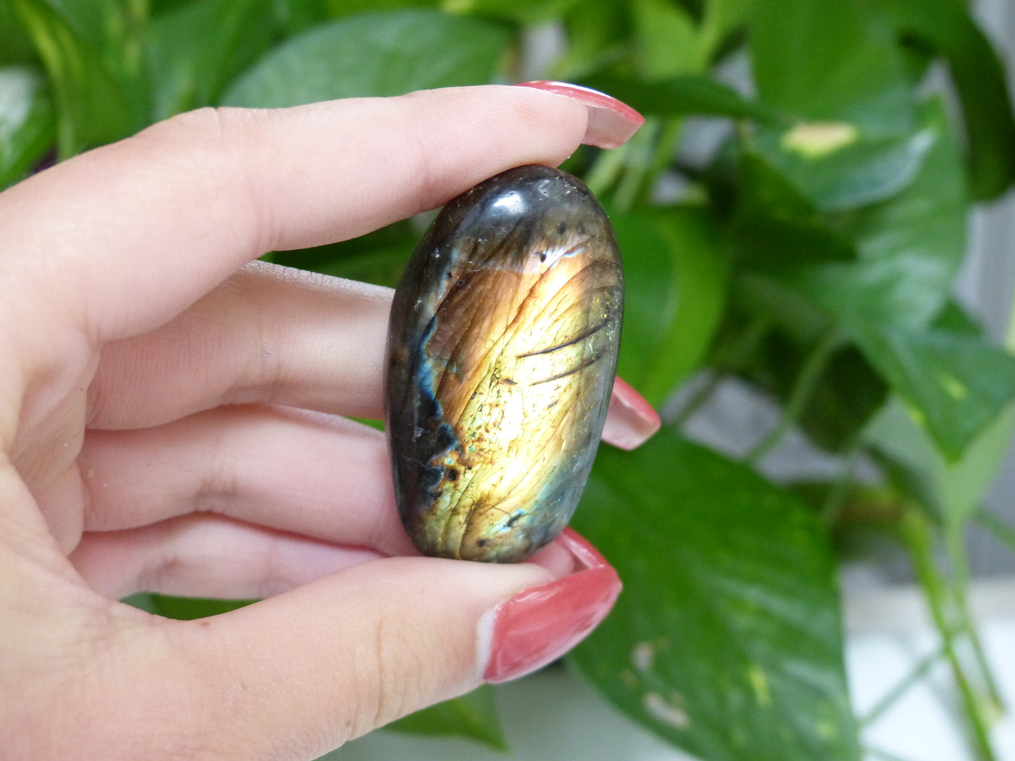 Labradorite Palm Stone (#44)