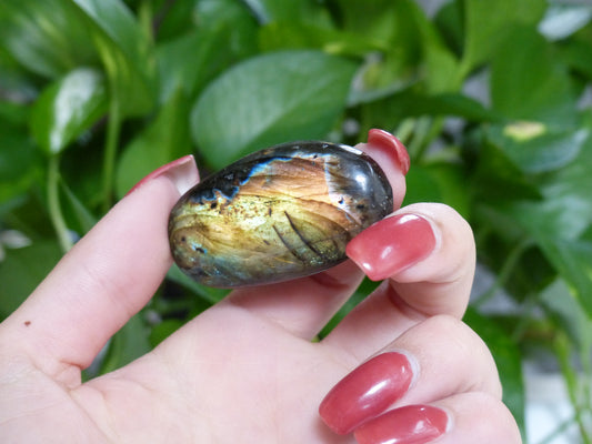 Labradorite Palm Stone (#44)
