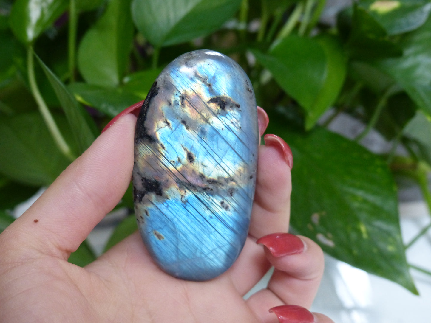 Labradorite Palm Stone (#52) - Simply Affinity