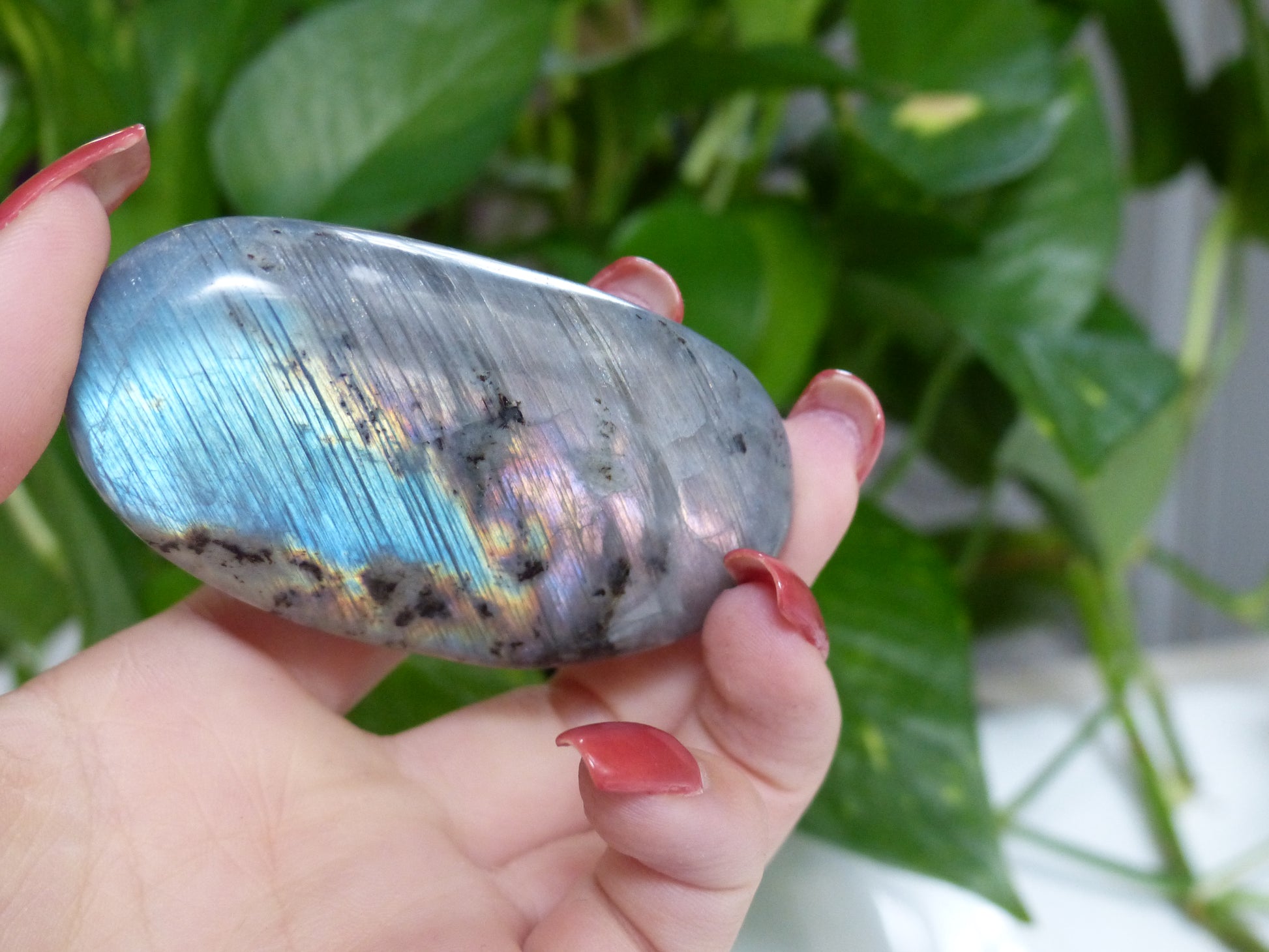 Labradorite Palm Stone (#52) - Simply Affinity
