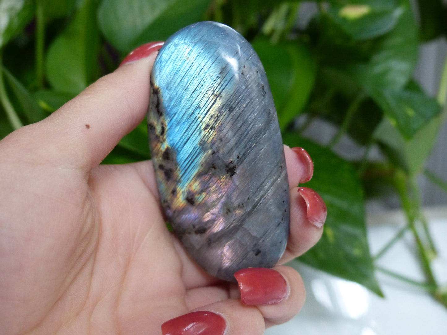 Labradorite Palm Stone (#52) - Simply Affinity