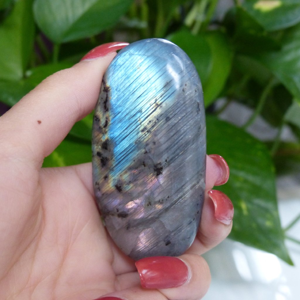 Labradorite Palm Stone (#52) - Simply Affinity