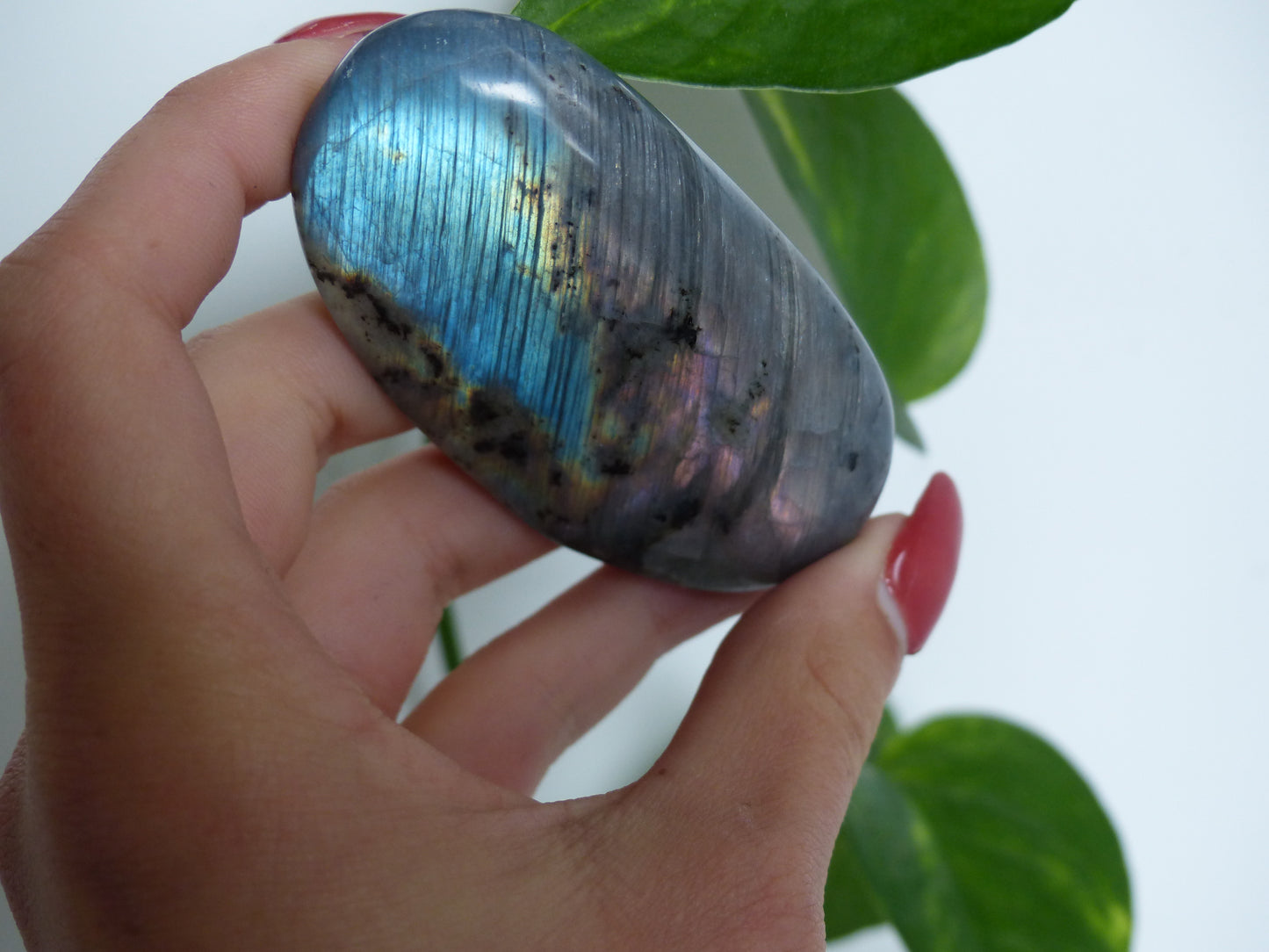 Labradorite Palm Stone (#52) - Simply Affinity
