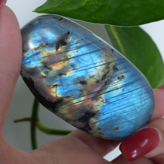 Labradorite Palm Stone (#52) - Simply Affinity