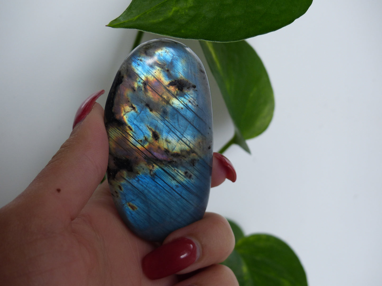 Labradorite Palm Stone (#52) - Simply Affinity
