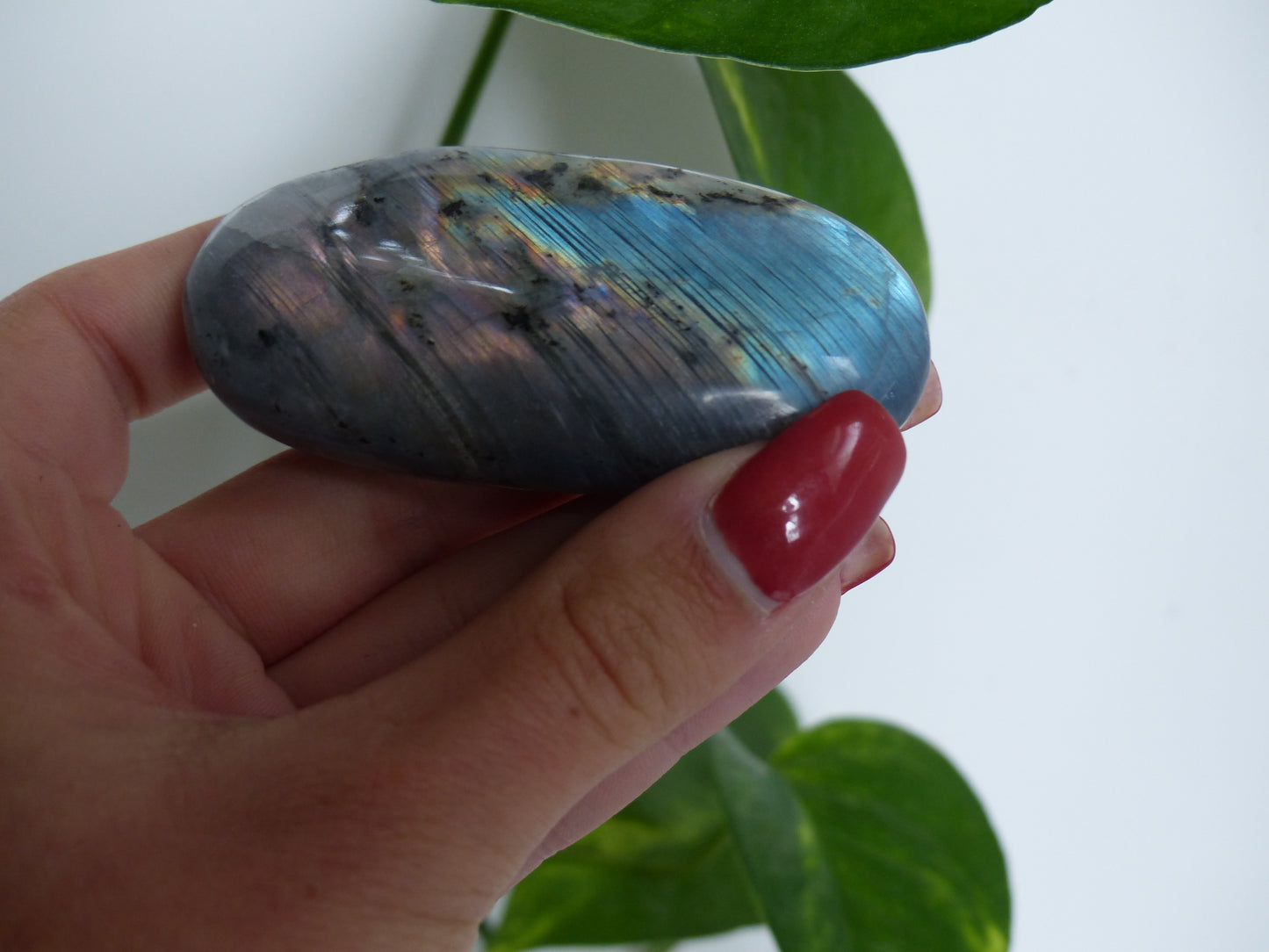 Labradorite Palm Stone (#52) - Simply Affinity