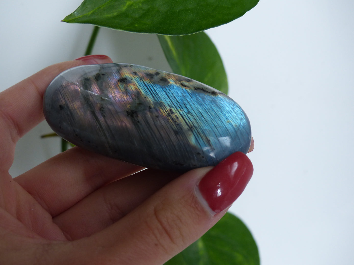 Labradorite Palm Stone (#52) - Simply Affinity