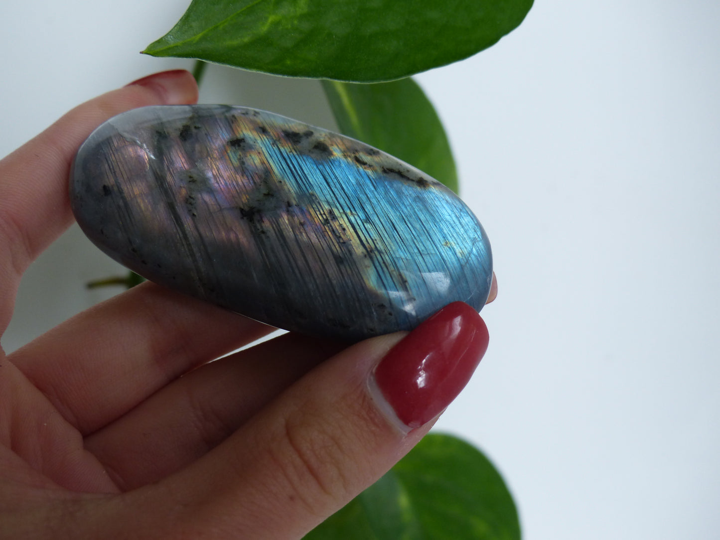 Labradorite Palm Stone (#52) - Simply Affinity
