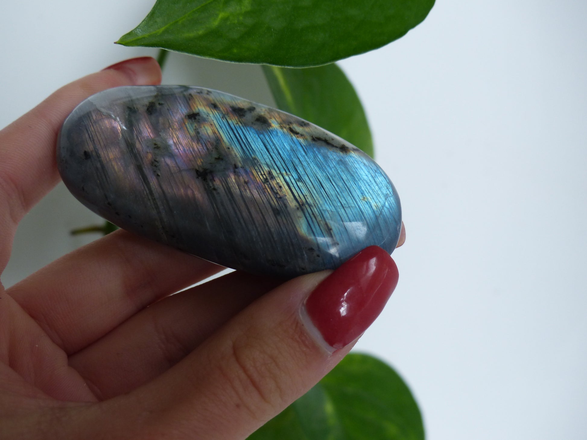 Labradorite Palm Stone (#52) - Simply Affinity