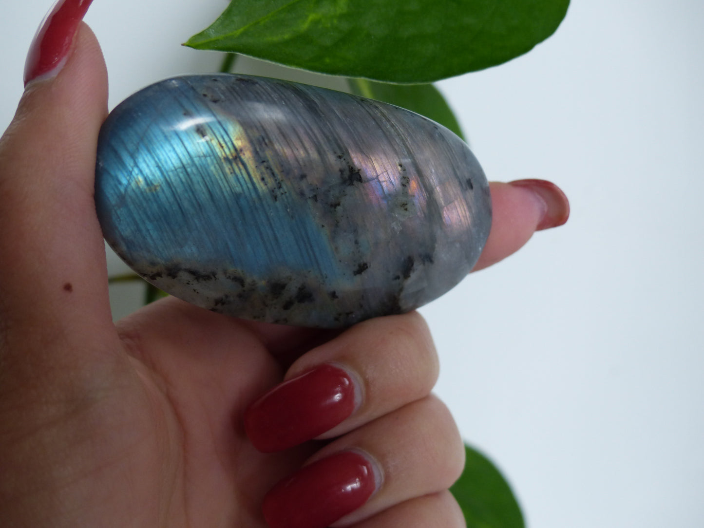 Labradorite Palm Stone (#52) - Simply Affinity