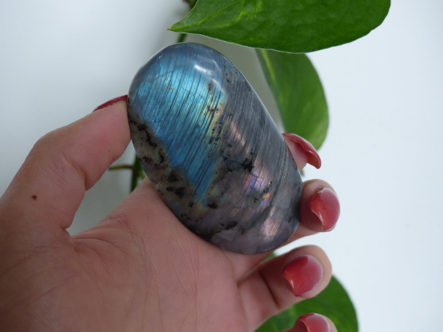 Labradorite Palm Stone (#52) - Simply Affinity