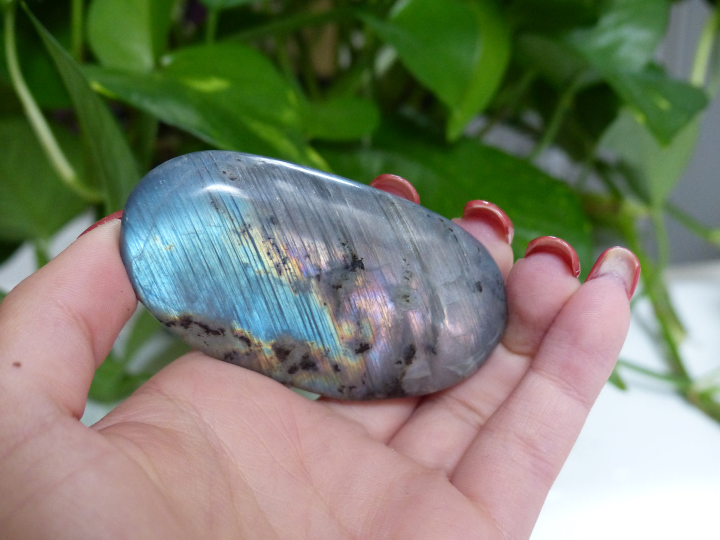 Labradorite Palm Stone (#52) - Simply Affinity