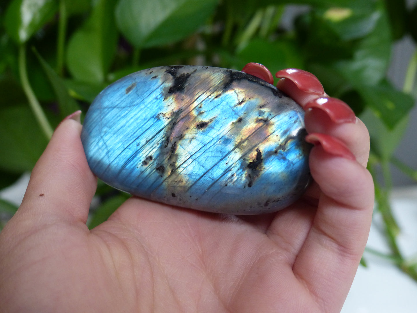 Labradorite Palm Stone (#52) - Simply Affinity