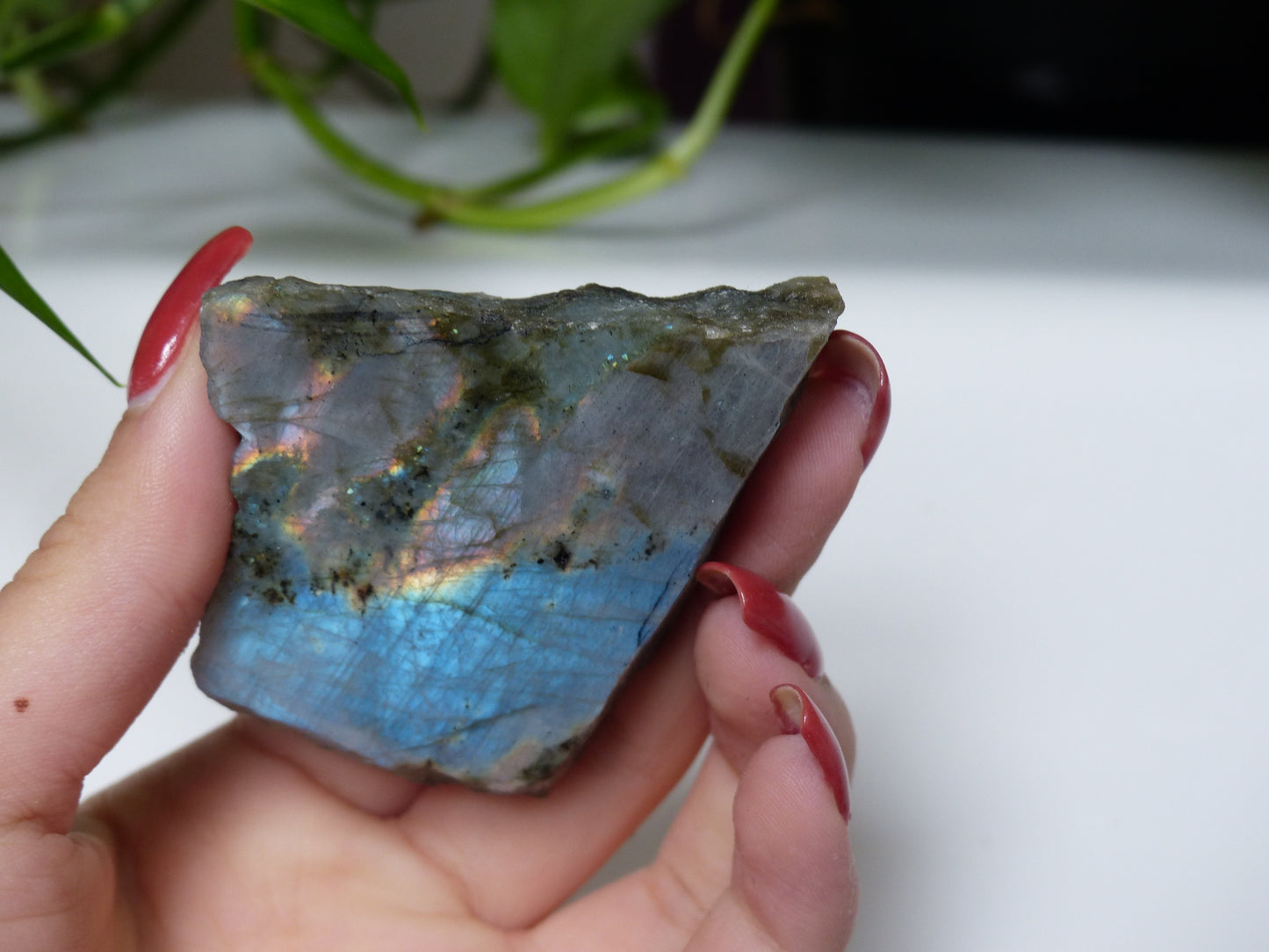Labradorite Slab (#15)