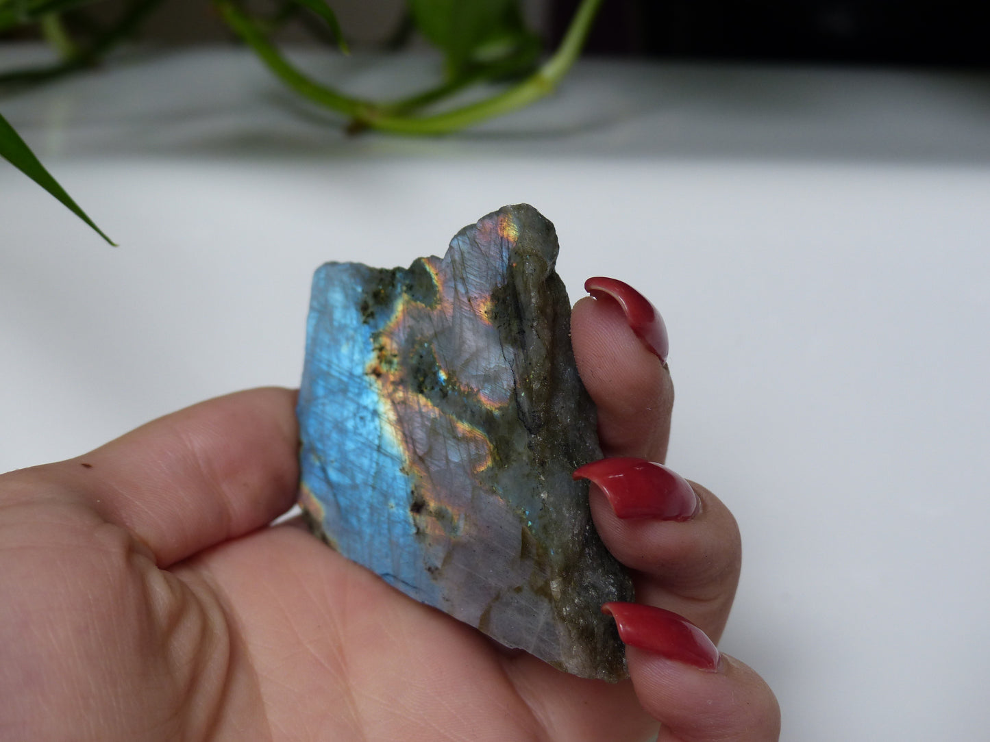 Labradorite Slab (#15)
