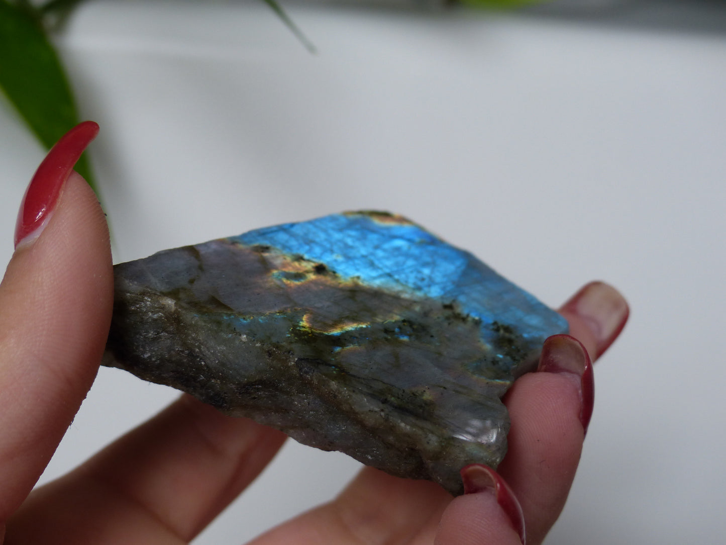 Labradorite Slab (#15)