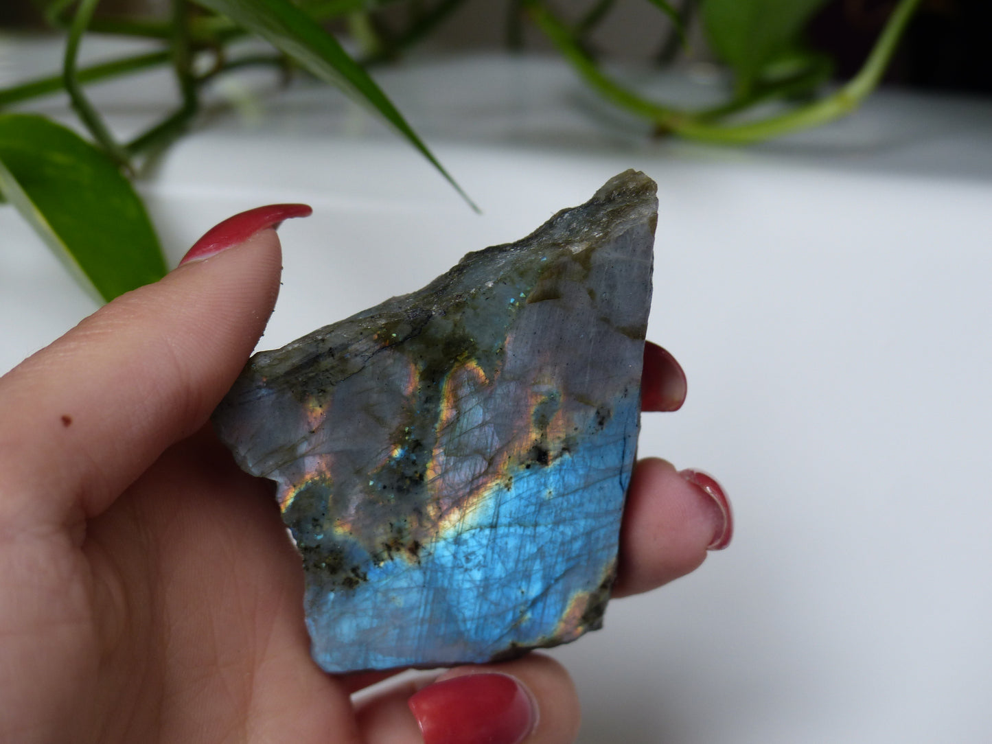 Labradorite Slab (#15)
