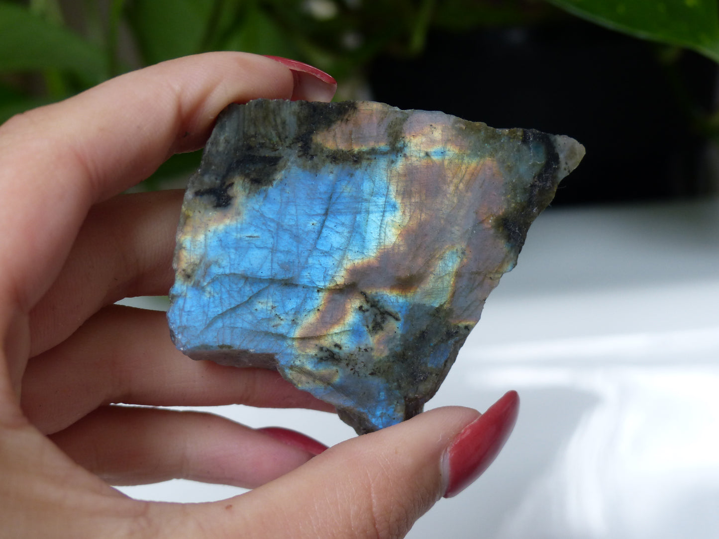 Labradorite Slab (#15)