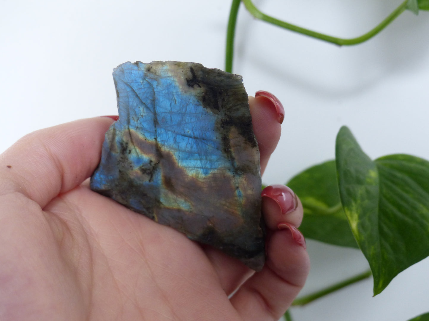 Labradorite Slab (#15)