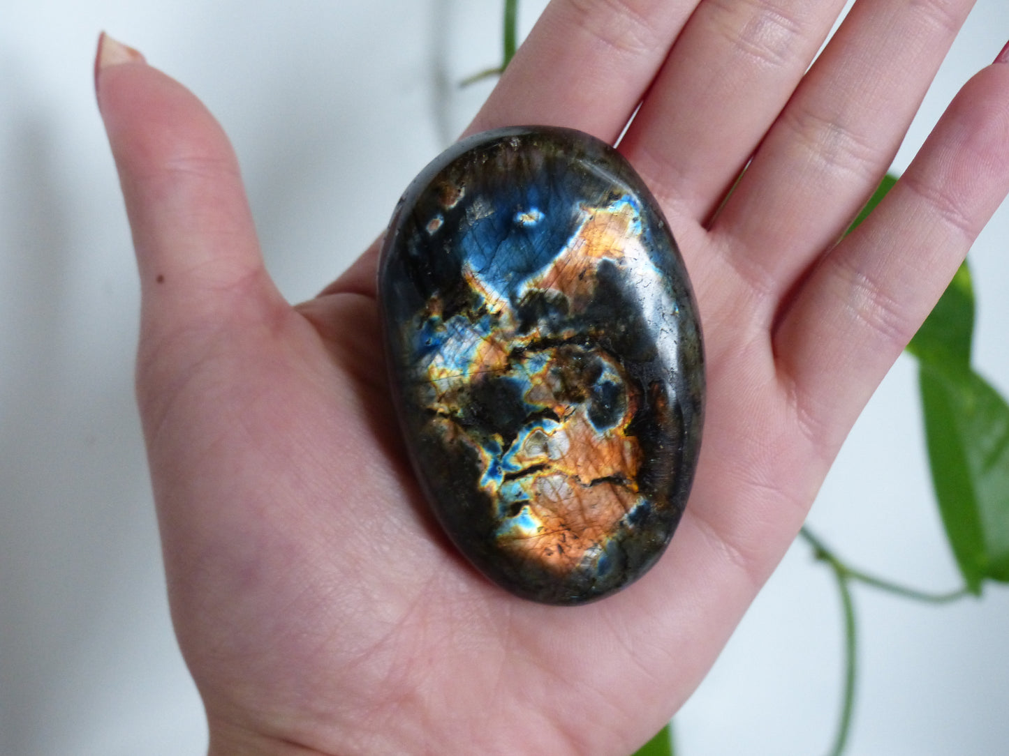 Labradorite Palm Stone (#45)