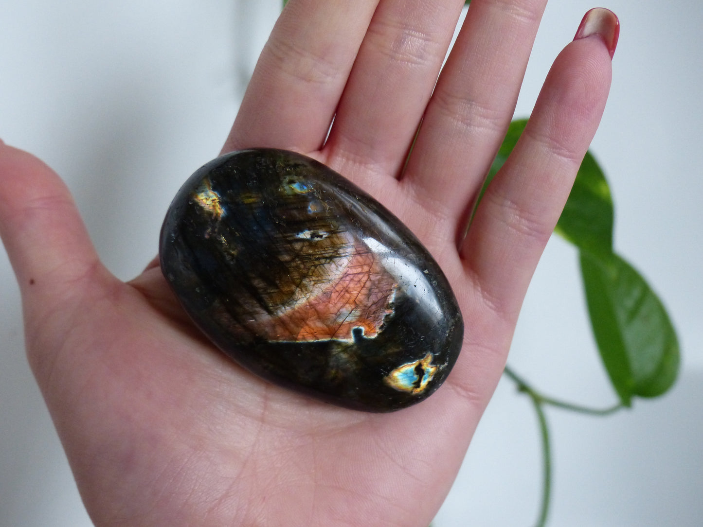 Labradorite Palm Stone (#45)