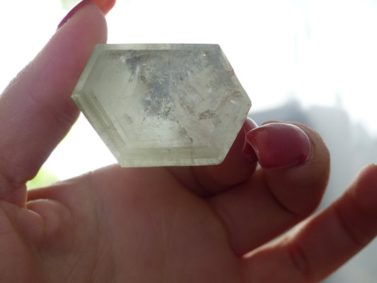 Garden Quartz Point, Lodolite Point (#3)