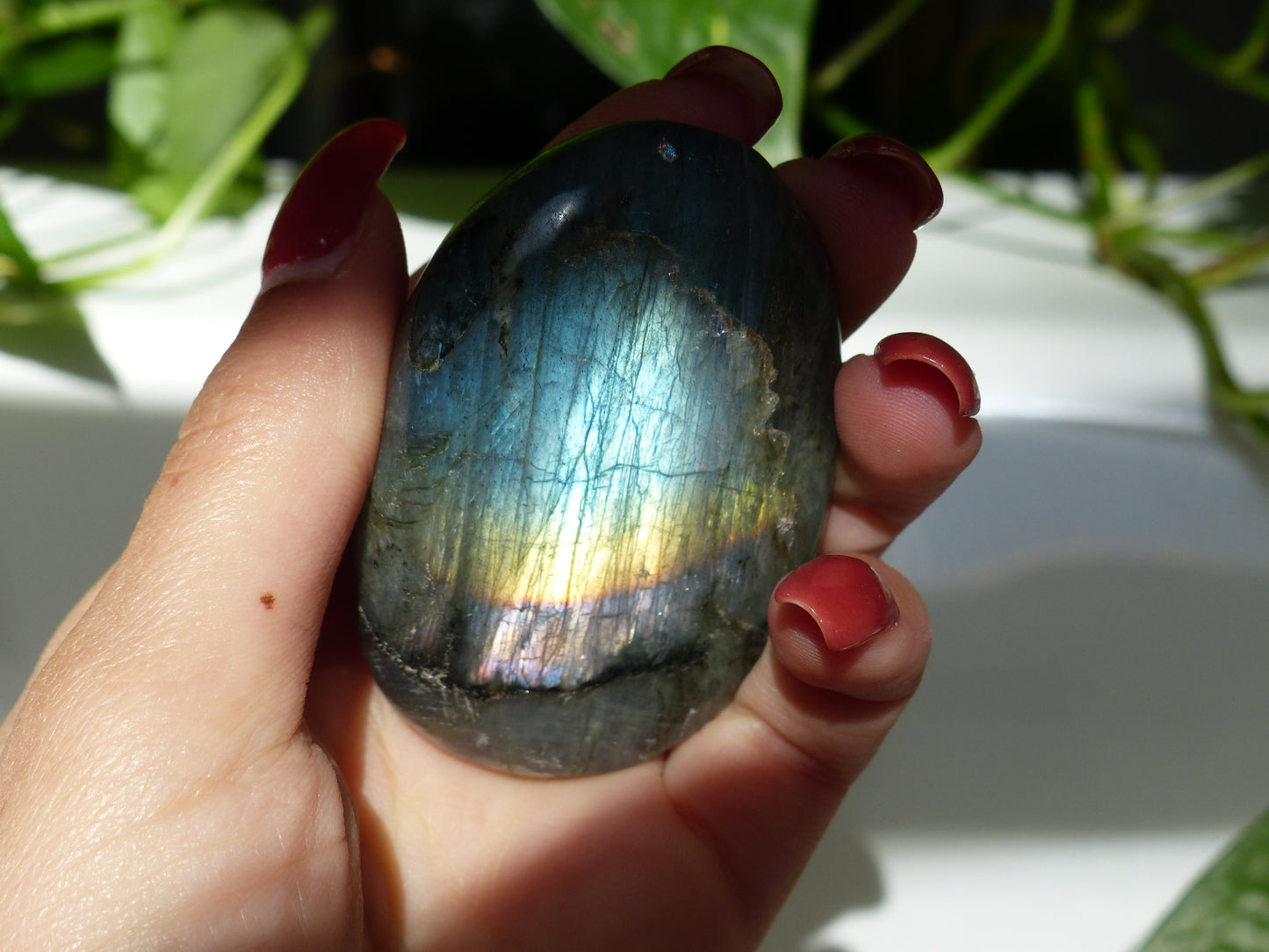 Labradorite Palm Stone (#50) - Simply Affinity