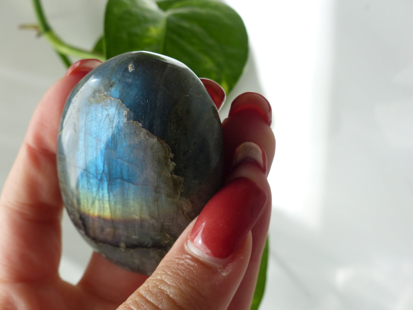 Labradorite Palm Stone (#50) - Simply Affinity