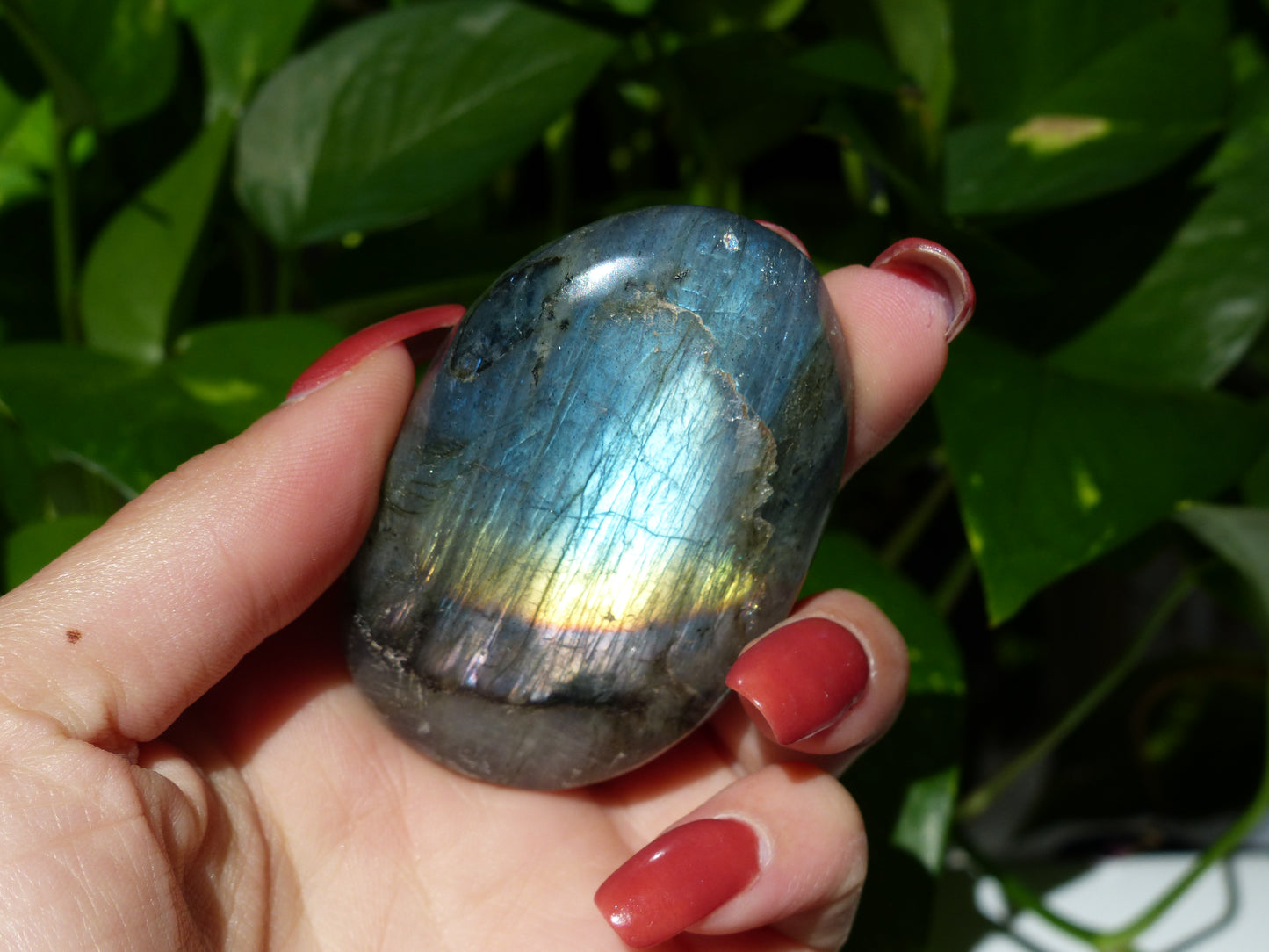 Labradorite Palm Stone (#50) - Simply Affinity