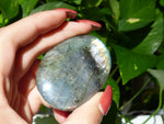 Labradorite Palm Stone (#50) - Simply Affinity