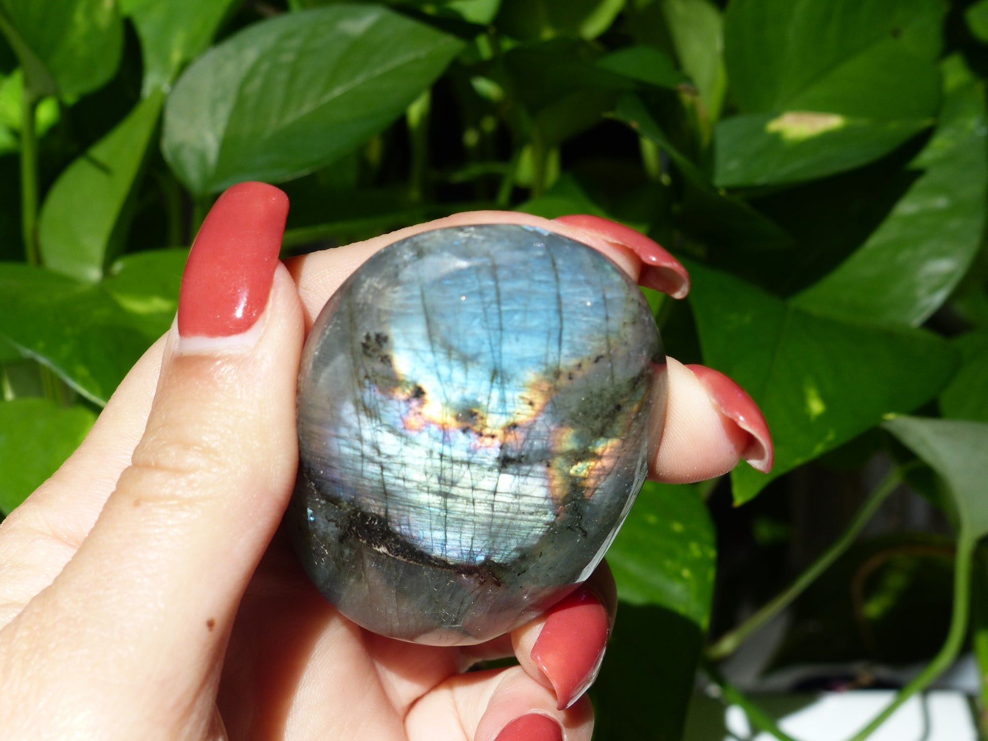 Labradorite Palm Stone (#50) - Simply Affinity